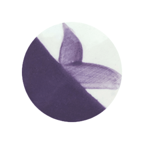 CAFÉ COLORS MORADOS3