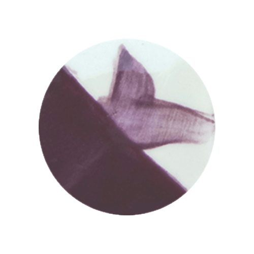 CAFÉ COLORS MORADOS4