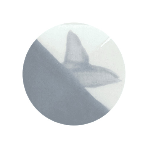 CAFÉ COLORS GRISES1