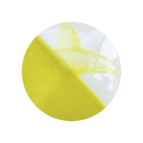 CAFÉ COLORS VERDES3