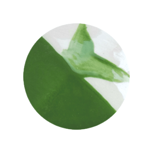 CAFÉ COLORS VERDES5