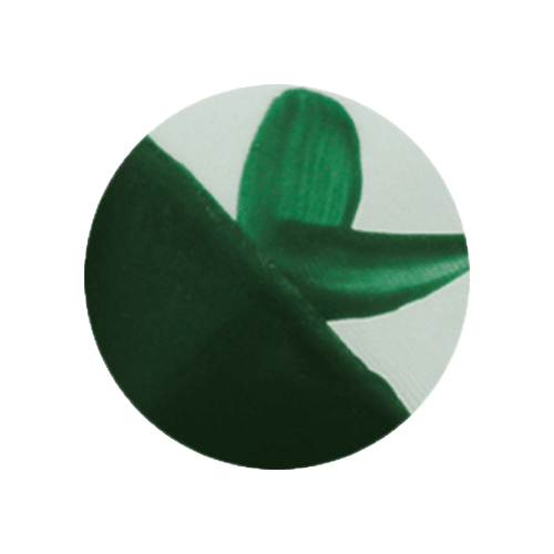 CAFÉ COLORS VERDES6