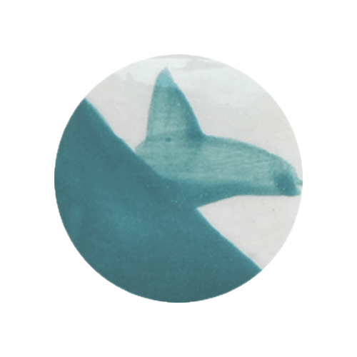 CAFÉ COLORS VERDES7