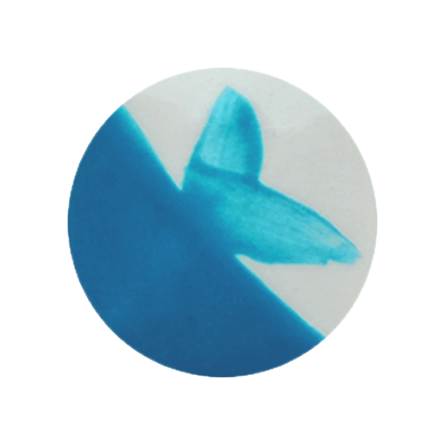 CAFÉ COLORS TURQUESAS5