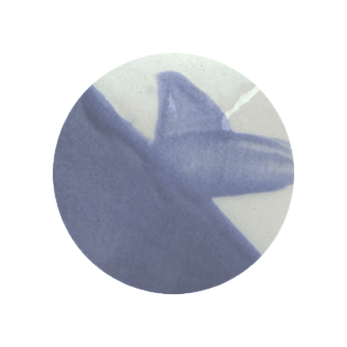 CAFÉ COLORS AZULES4