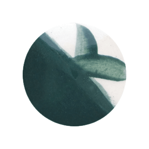 CAFÉ COLORS VERDES9