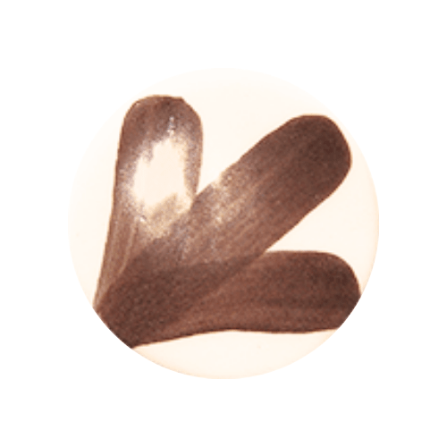 ONE STROKE Pigmento Antique Brown 30 mL5