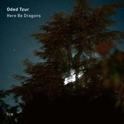 VINILO TZUR,ODED HERE BE DRAGONS ECM1