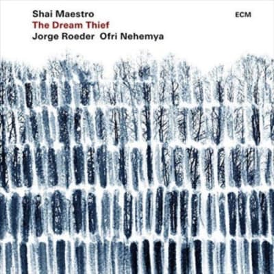 VINILO MAESTRO,SHAI / DREAM THIEF1