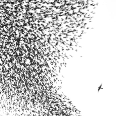 VINILO WILCO / SKY BLUE SKY 2LP1