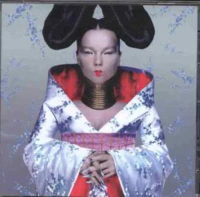 VINILO BJORK HOMOGENIC
