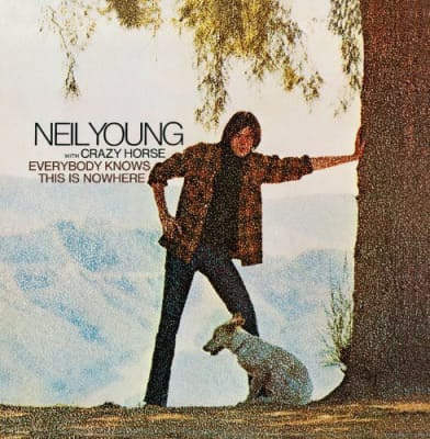VINILO YOUNG,NEIL EVERYBODY KNOWS THIS IS1