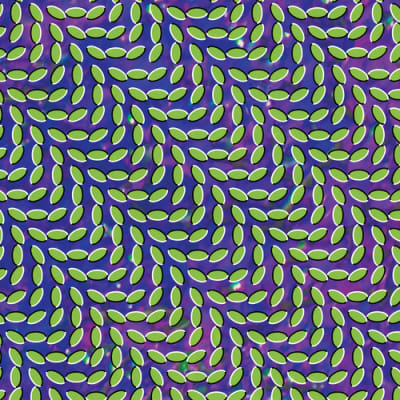 VINILO ANIMAL COLLECTIVE / MERRIWEATHER POST PAVILION 2LP1