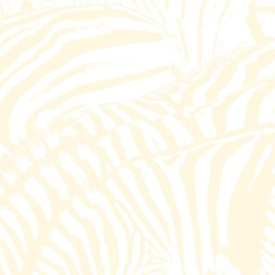 VINILO BEACH HOUSE TEEN DREAM 2LP