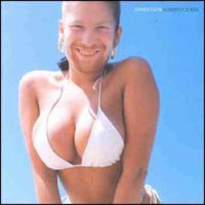 VINILO APHEX TWIN WINDOWLICKER