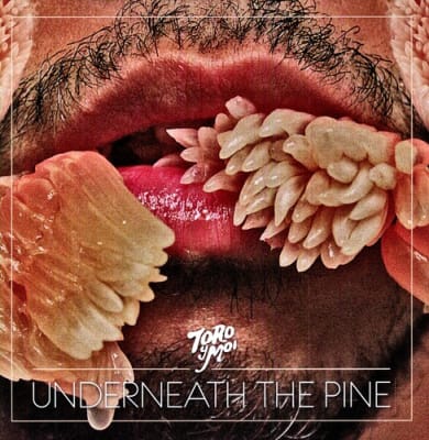 VINILO TORO Y MOI / UNDERNEATH THE PINE1