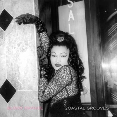 CD BLOOD ORANGE / COASTAL GROOVES