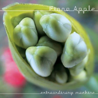 CD APPLE,FIONA EXTRAORDINARY1