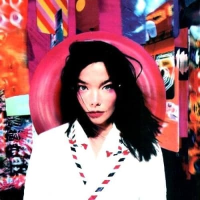 VINILO BJORK POST1
