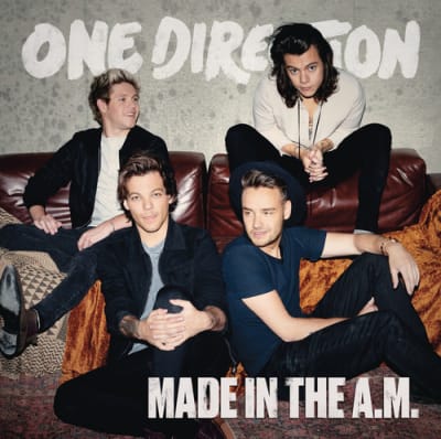 CD ONE DIRECTION MADE IN THE A.M.1