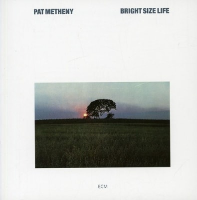 CD METHENY,PAT BRIGHT SIZE LIFE1