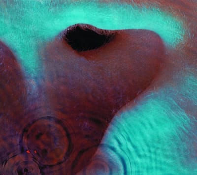 CD PINK FLOYD MEDDLE