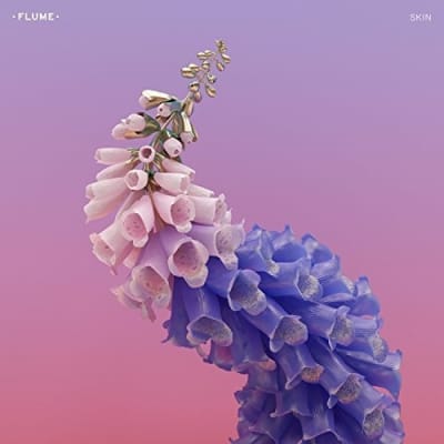 VINILO FLUME / SKIN 2LP1