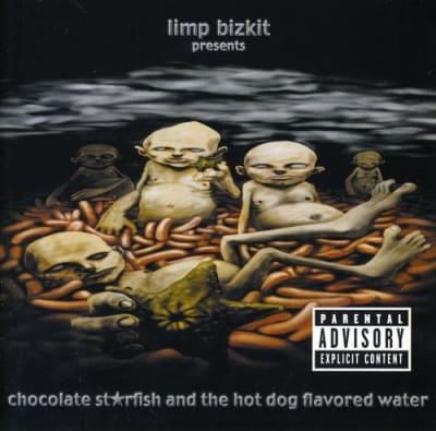 CD LIMP BIZKIT / CHOCOLATE STARFISH1