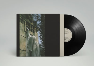 VINILO DEAD CAN DANCE WITHIN THE REALM OF A DYING SUN