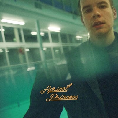 VINILO REX ORANGE COUNTY Apricot Princess1
