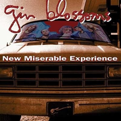 VINILO GIN BLOSSOMS / NEW MISERABLE EXPERIENCE1