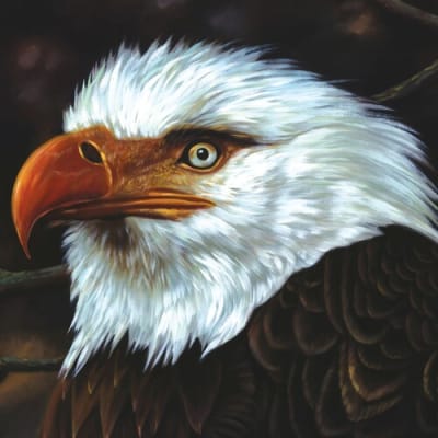VINILO MOGWAI HAWK1