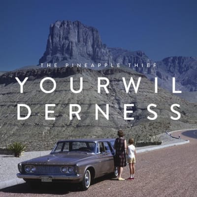 VINILO PINEAPPLE THIEF / YOUR WILDERNESS1
