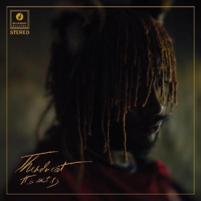 VINILO THUNDERCAT / IT IS WHAT IT IS (RED VINYL/SPINED SLEEVE/GOLD FOIL)1