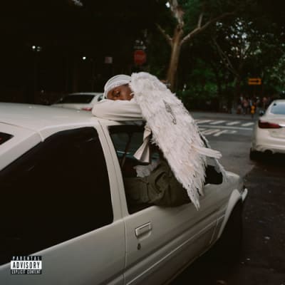VINILO BLOOD ORANGE / NEGRO SWAN (2LP/DL CARD)1