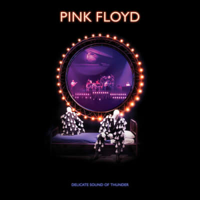 VINILO PINK FLOYD DELICATE SOUND OF THUNDER 3LP