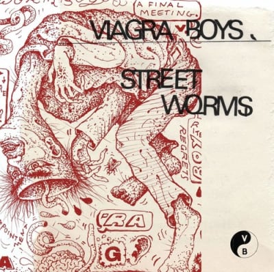 VINILO VIAGRA BOYS Street Worms - Cloudy Clear1