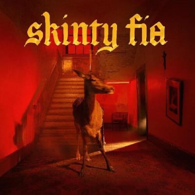 CD FONTAINES D.C. Skinty Fia1