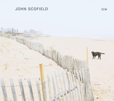 VINILO SCOFIELD,JOHN - JOHN SCOFIELD1