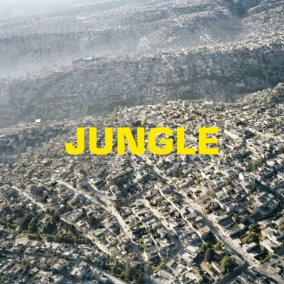VINILO BLAZE JUNGLE1