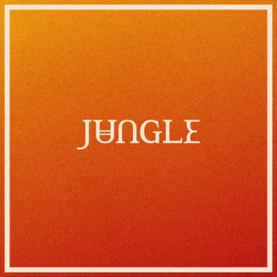 CD JUNGLE - Volcano1
