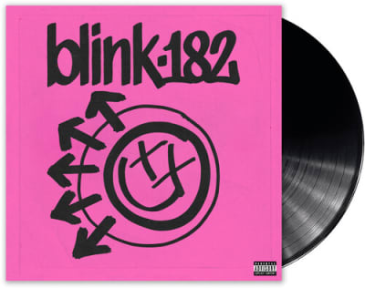 VINILO BLINK 182 ONE MORE TIME1