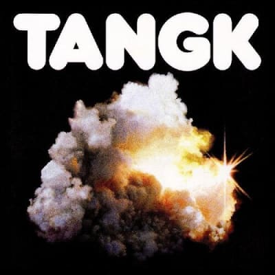 VINILO IDLES  TANGK (TRANSPARENT ORANGE VINYL)1