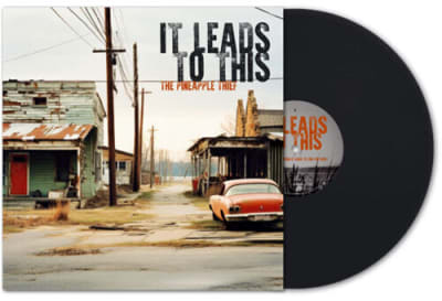 VINILO PINEAPPLE THIEF  IT LEADS TO THIS1