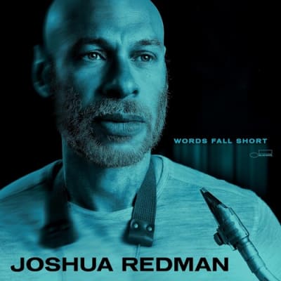VINILO REDMAN,JOSHUA -  WORDS FALL SHORT1