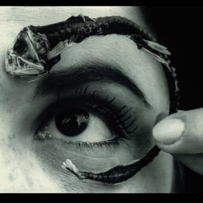 VINILO MR BUNGLE Disco Volante 2LP1