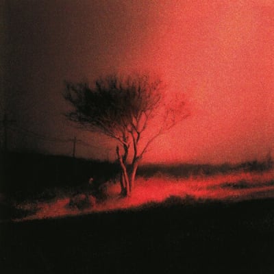 VINILO JOJI Piss in the Wind