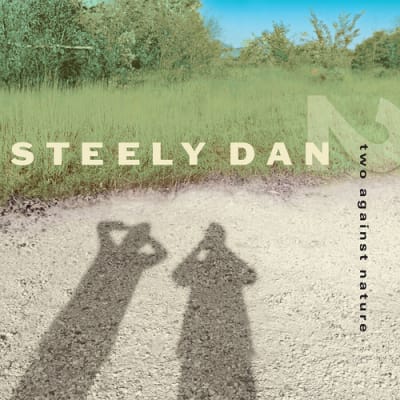 VINILO STEELY DAN Two Against Nature (Clear Vinyl) 2LP