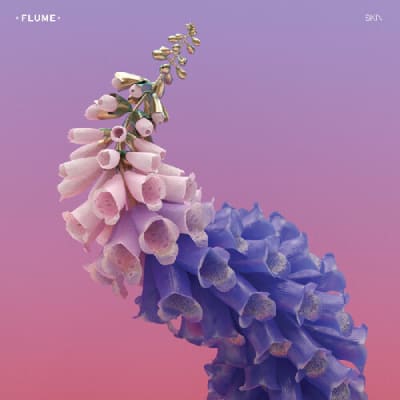 VINILO FLUME / SKIN (PINK VINYL/2LP)1