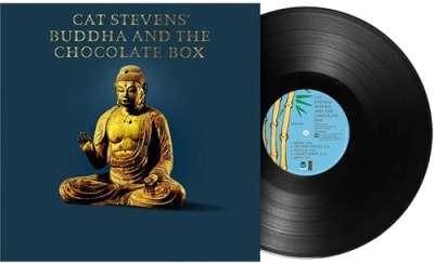 VINILO STEVENS,CAT Buddha and the Chocolate Box1